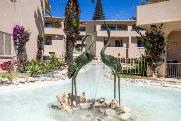 Vila Palmeira Beach Resort | Lagos | Gallery 66